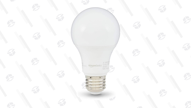 6-Pack AmazonBasics 60W Equivalent LED Bulbs | $12 | Amazon16-Pack AmazonBasics 100W Equivalent LED Bulbs | $32 | Amazon